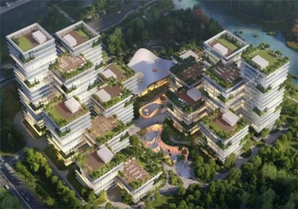微信图片_20260203092635_副本.jpg